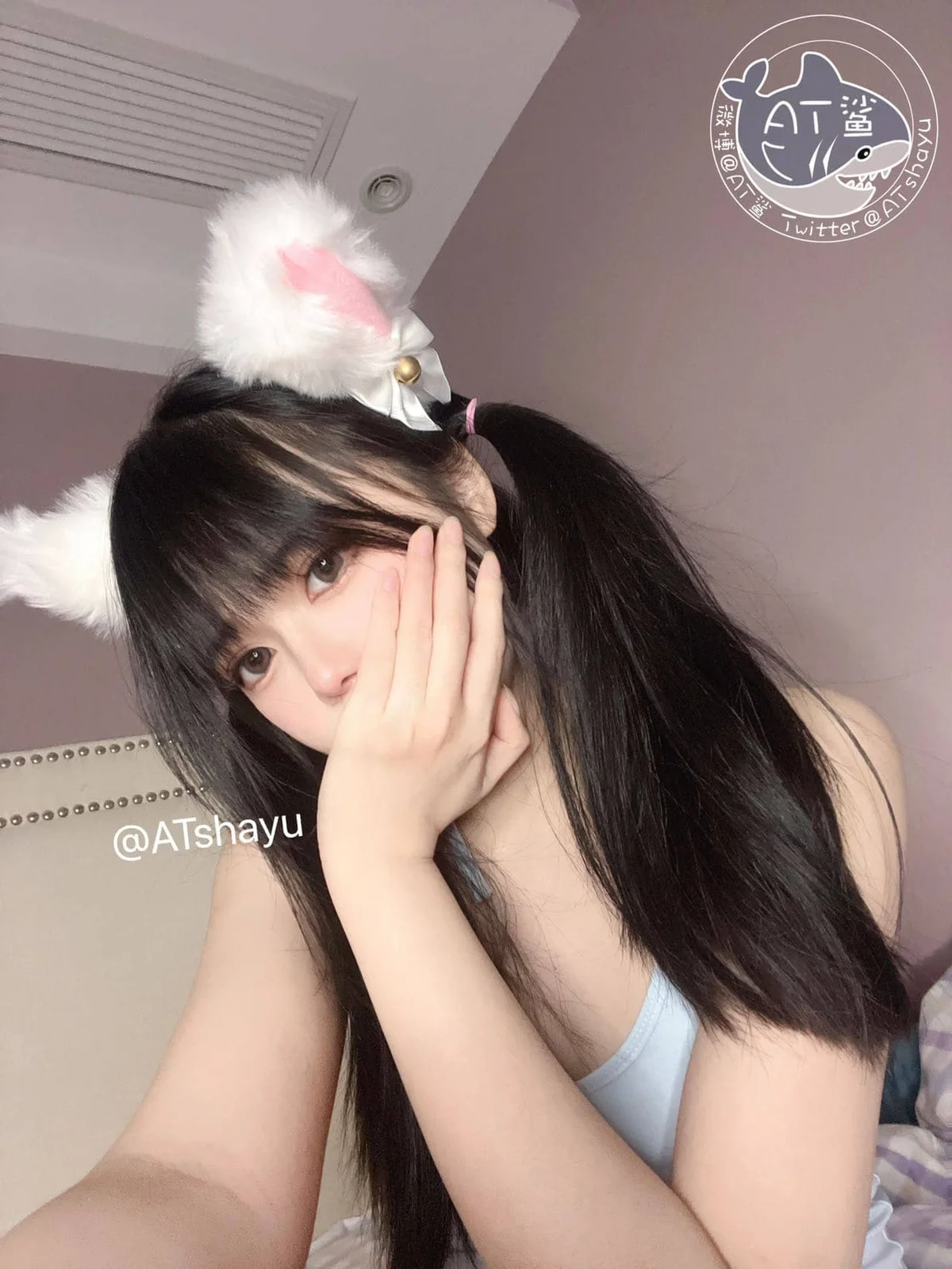 AT鲨-涩涩猫