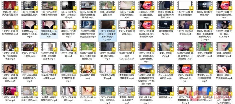 [合集]《108TV酱》视频作品144套120.89G-漂泊带土