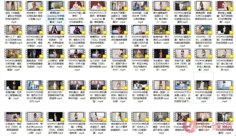 [合集]台湾名站《JVID视频》价值3000元高清视频65部[18.66GB]-漂泊带土