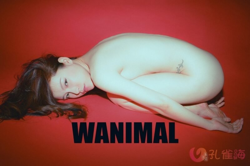 [合集]珍藏写真《WANIMAL王动》系列全套包含高清视频和套图，大小75.2G-漂泊带土
